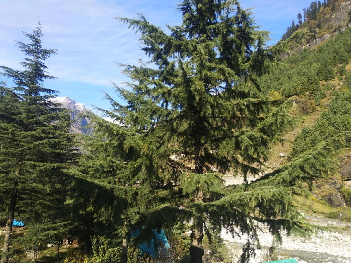 Nehru Kund Heights By Jitainn Manāli Εξωτερικό φωτογραφία
